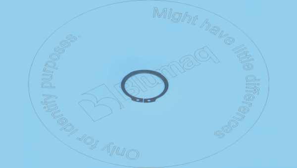 Retainer ring Blumaq 7X5771