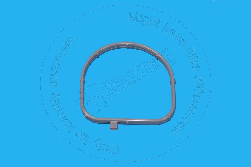 Gasket Blumaq 281-8744