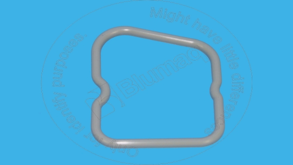 Gasket (valve cover) Blumaq 3930906