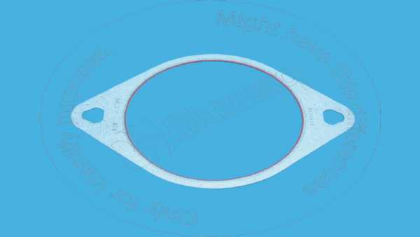 Gasket Blumaq 3938655