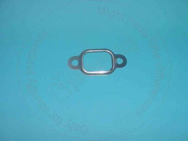 Gasket Blumaq 3927154