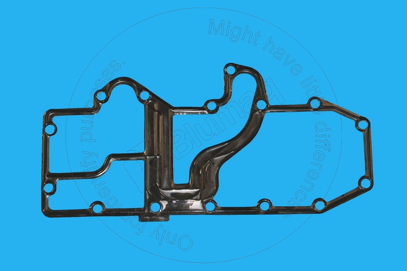 Gasket Blumaq 300-7933