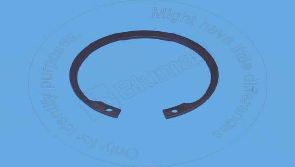 Retainer ring Blumaq 6V5590