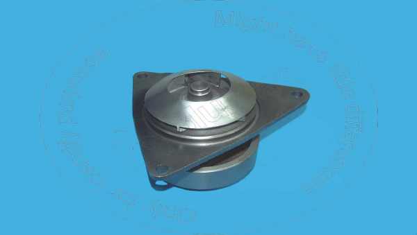 Water pump assy Blumaq 3800974