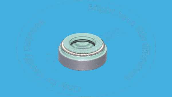 Valve seal Blumaq 163-2478