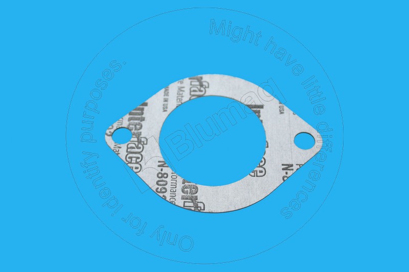 Gasket Blumaq 4W0549