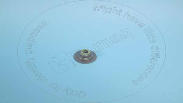 Valve seal Blumaq 252-6438