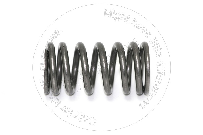 Valve spring Blumaq 214-0586