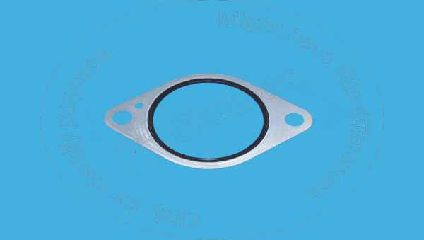 Gasket Blumaq 125-0434