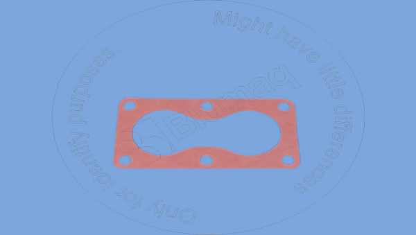 Gasket Blumaq 222-5915