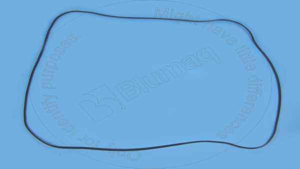 Прокладка кришки клапанів Blumaq 272-0389