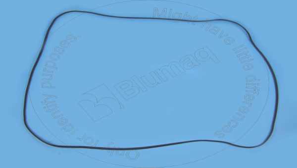 Gasket Blumaq 272-0389