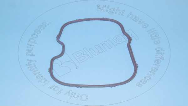 Gasket (valve cover) Blumaq VOE424692