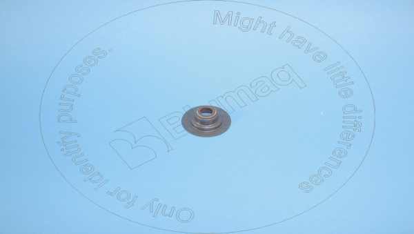 Valve seal Blumaq 254-3954