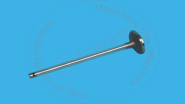Inlet valve Blumaq 6127-41-4113