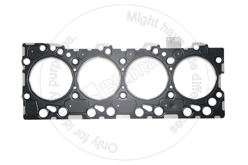 Gasket hydraulic tank cylinder Blumaq EA2830919