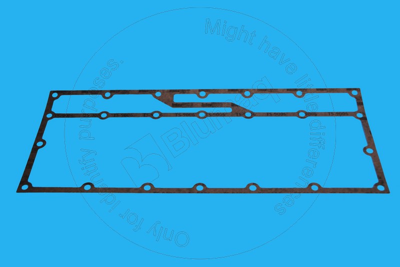 Gasket Blumaq 3065791