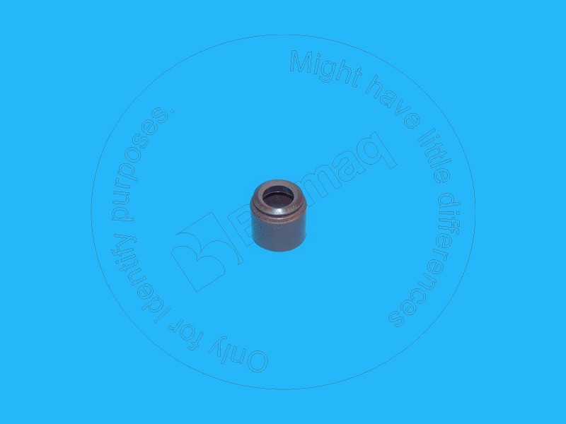 Valve seal Blumaq 2418M505