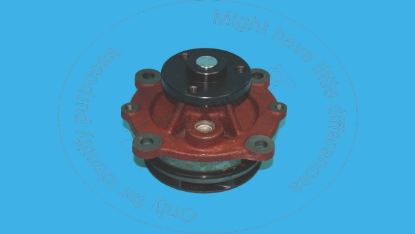 Water pump assy Blumaq VOE20726092