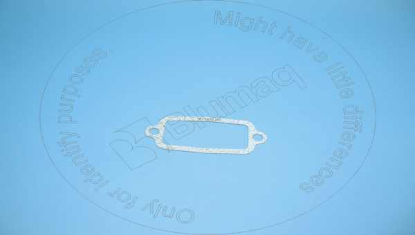 Gasket (water pump) Blumaq 101-1635