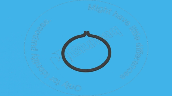 Retainer ring Blumaq 054-6589