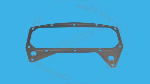 Gasket Blumaq 209-7293