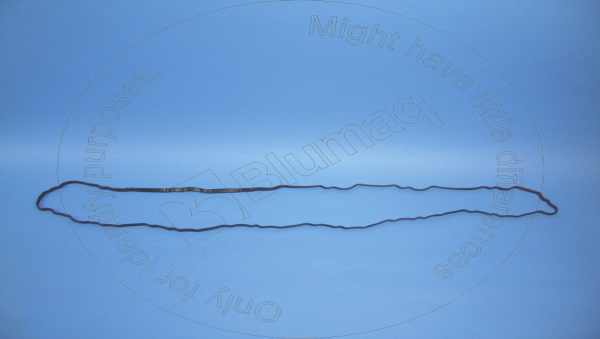 Gasket Blumaq 317-3064