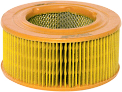 Air filter Baldwin PA3419