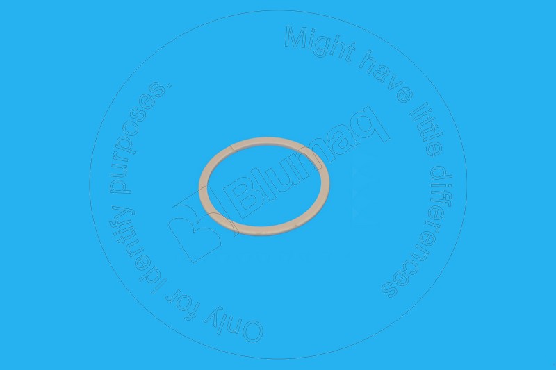 Back ring Blumaq 149-5240