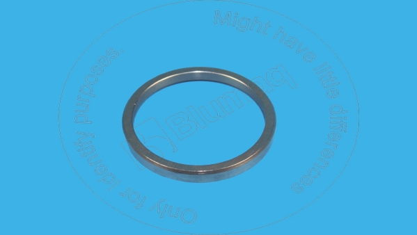 Valve seat Blumaq 260-4855