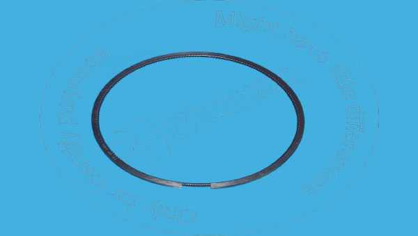 Piston ring Blumaq 4P1659